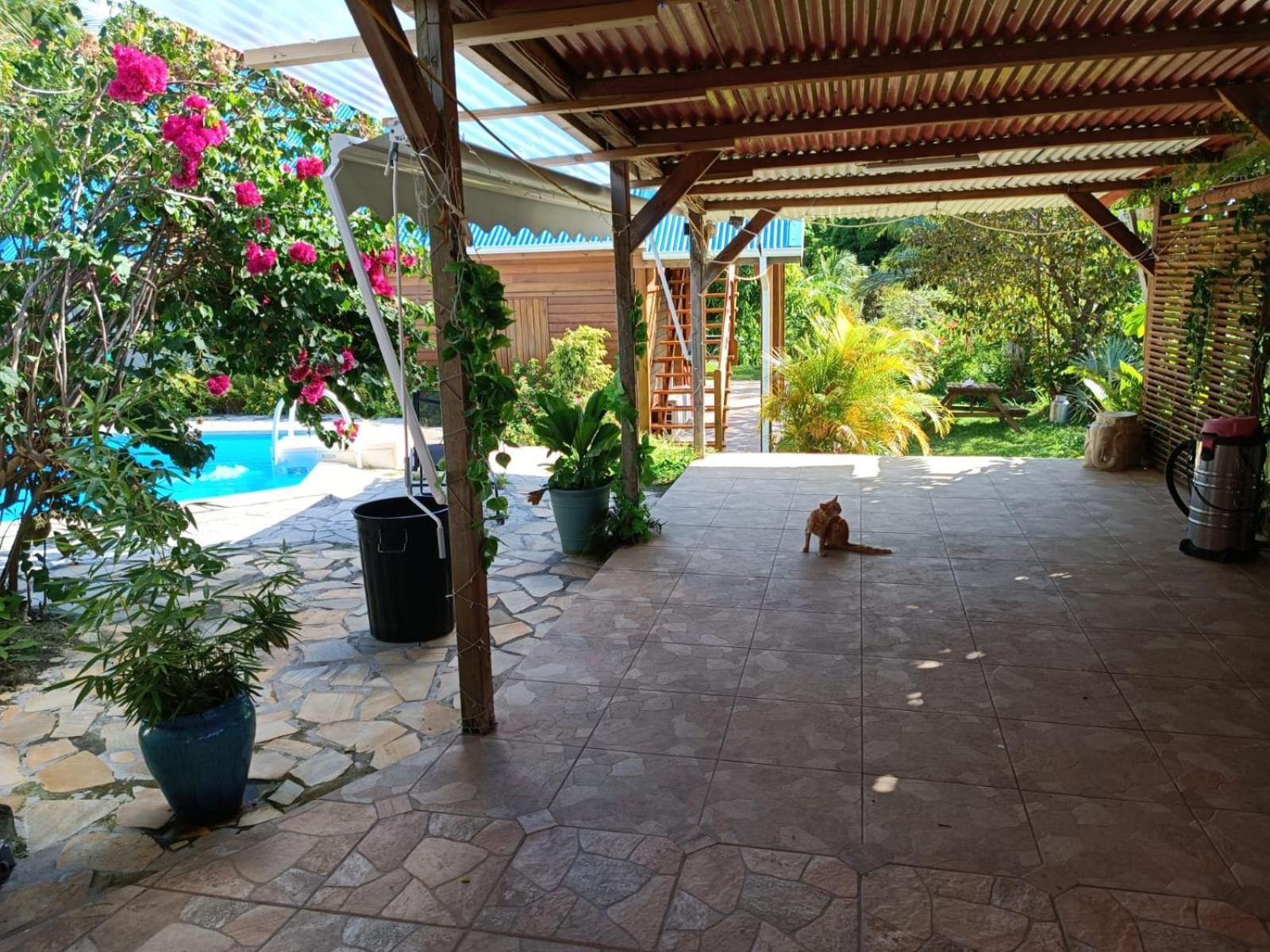 Les Gites Du Sud - O Naturel Gourbeyre Esterno foto