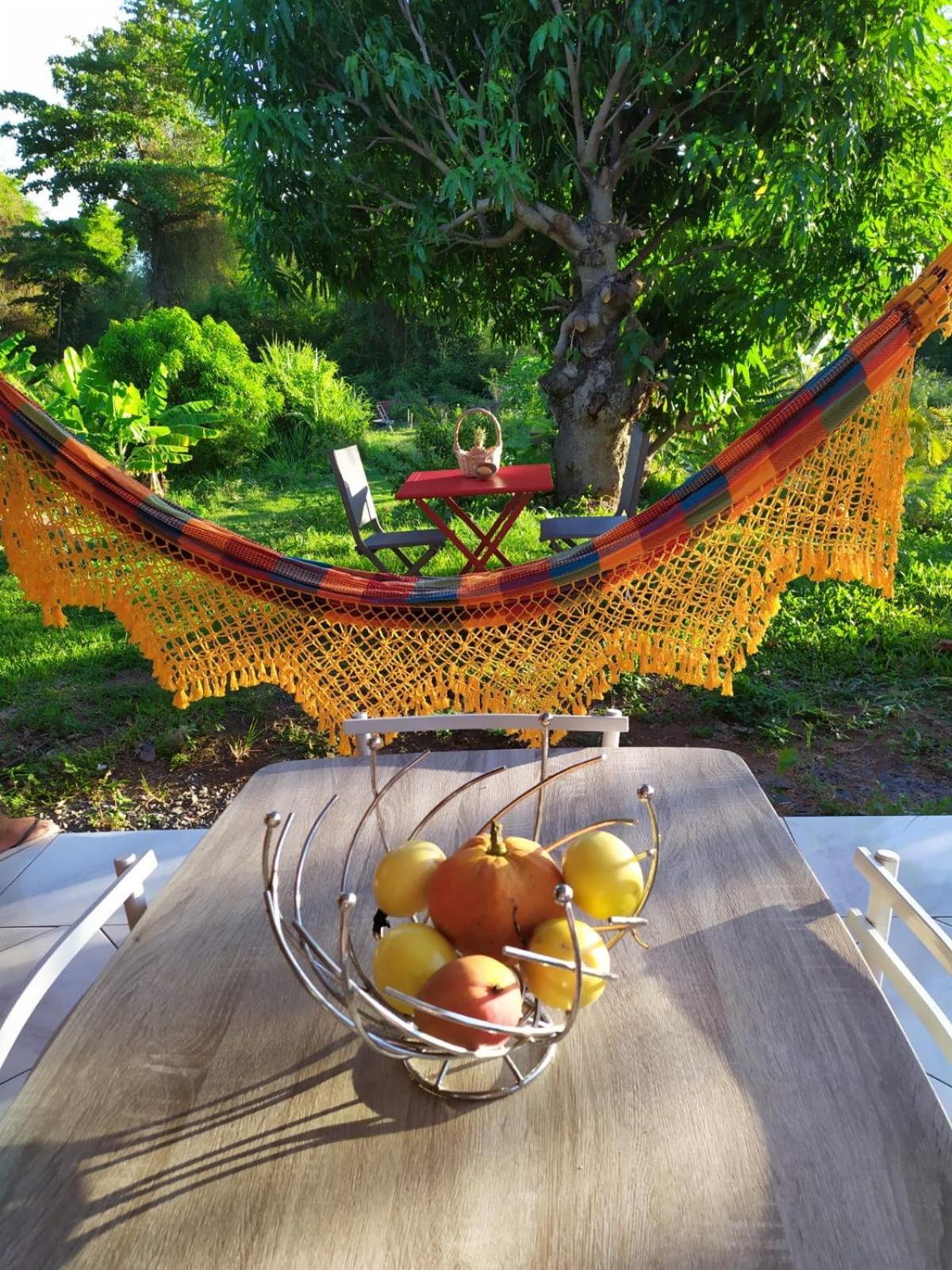 Les Gites Du Sud - O Naturel Gourbeyre Esterno foto